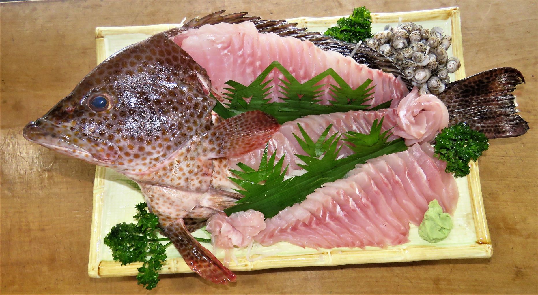 新しいコレクション オオモンハタ 刺身 かわいい魚ギャラリー