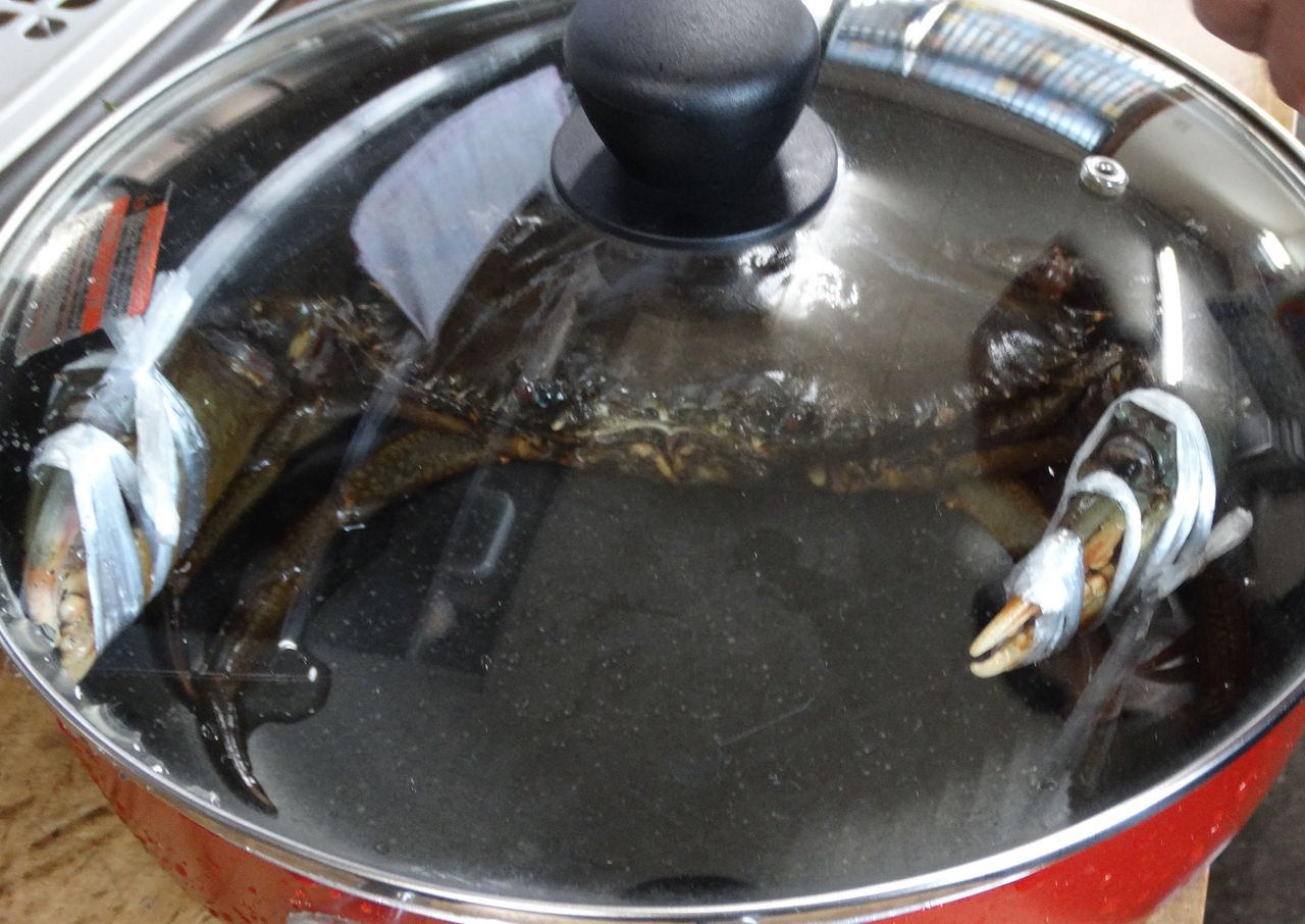 高知のエガニ 土佐料理 旬の鰹がゆく