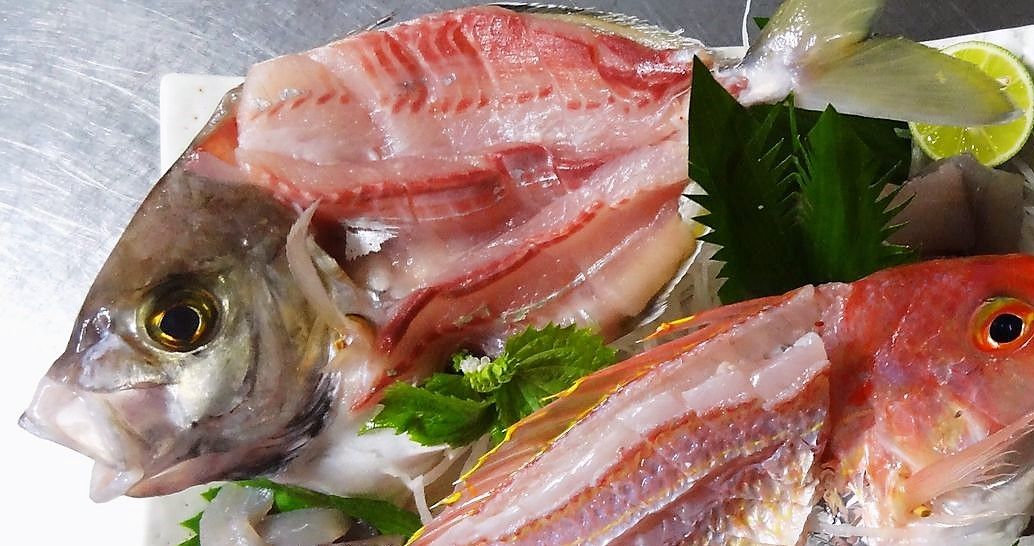 ９月の室戸鮮魚 秋の室戸探訪second Edition 土佐料理 旬の鰹がゆく