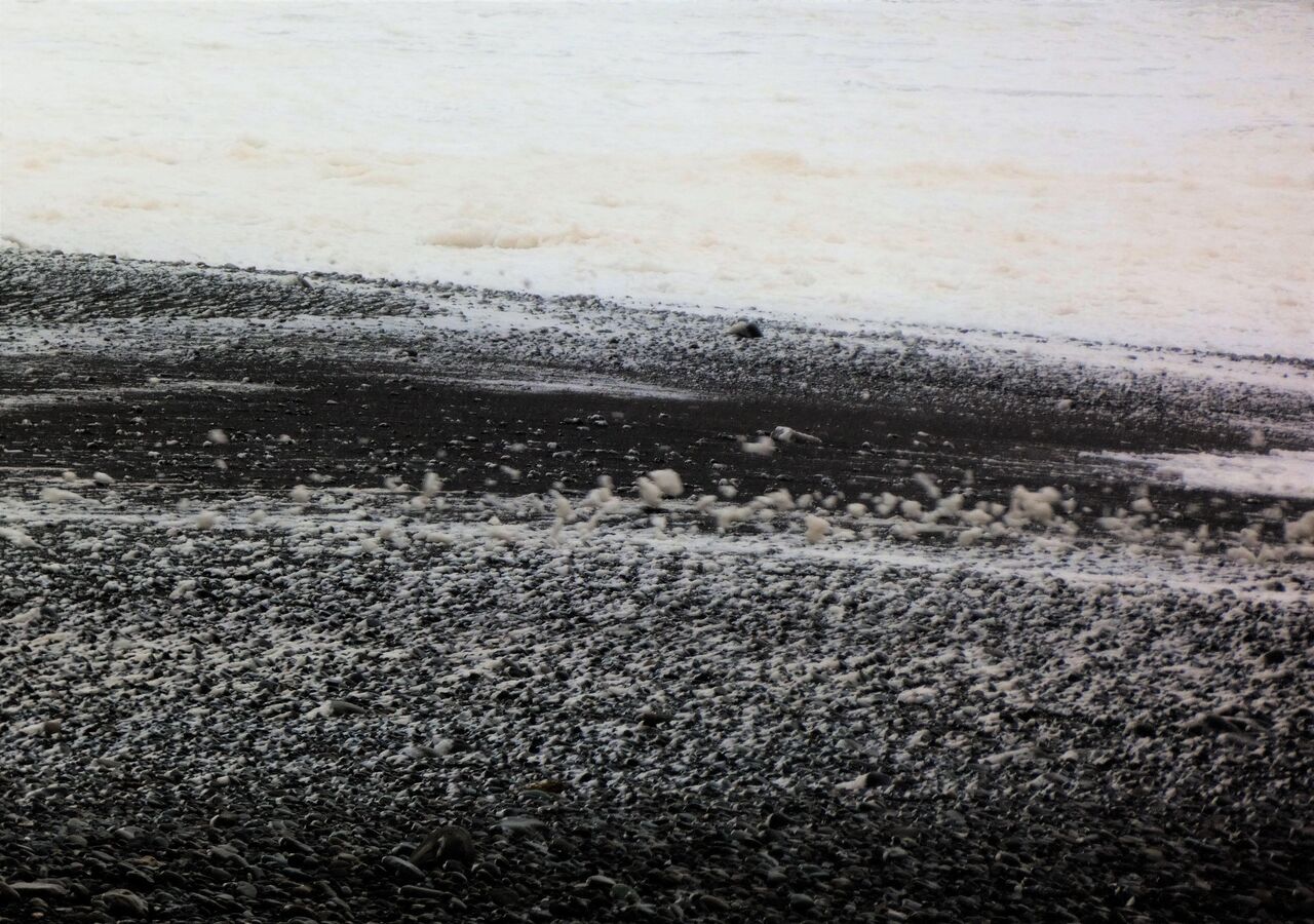 台風が咲かせた波の花 土佐料理 旬の鰹がゆく