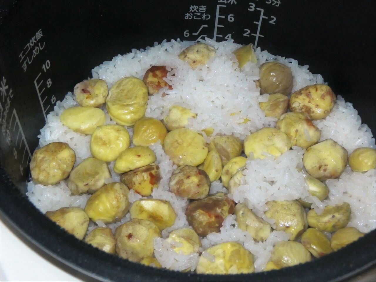 日本一早い栗拾い 土佐料理 旬の鰹がゆく