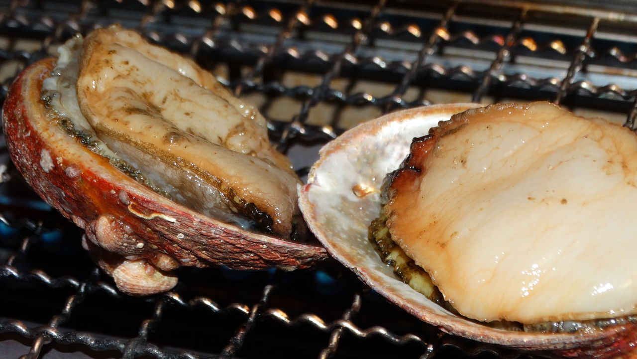 里海の大脱走 土佐料理 旬の鰹がゆく 里海の大脱走 土佐料理 旬の鰹がゆく