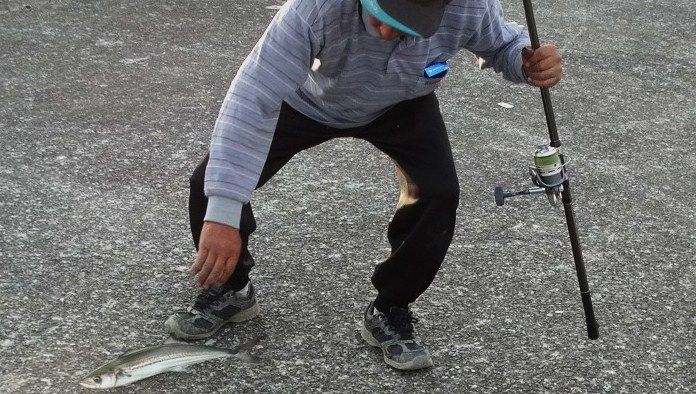 初冬の堤防釣り 土佐料理 旬の鰹がゆく 初冬の堤防釣り 土佐料理 旬の鰹がゆく