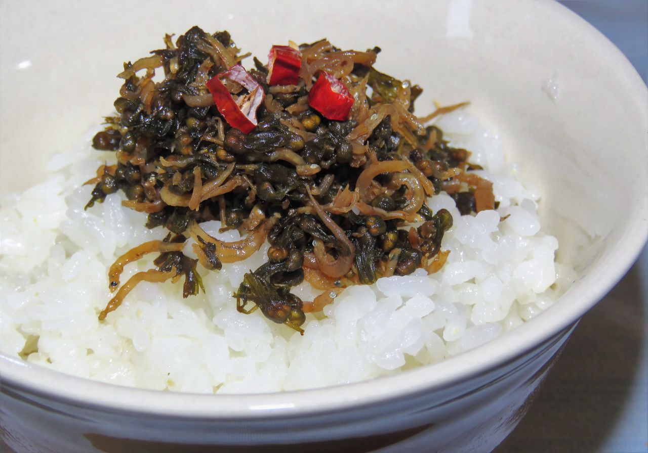 稲架掛け はさかけ 土佐料理 旬の鰹がゆく 稲架掛け はさかけ 土佐料理 旬の鰹がゆく