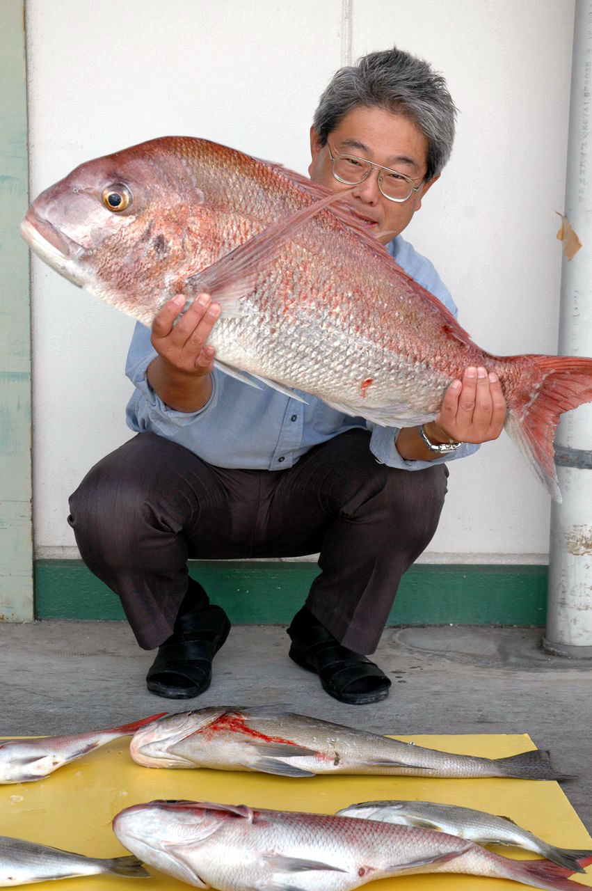真鯛の魅力 土佐料理 旬の鰹がゆく