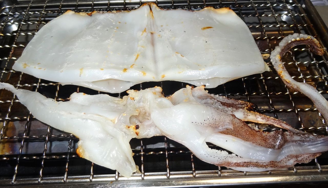 アオリイカ 土佐料理 旬の鰹がゆく アオリイカ 土佐料理 旬の鰹がゆく