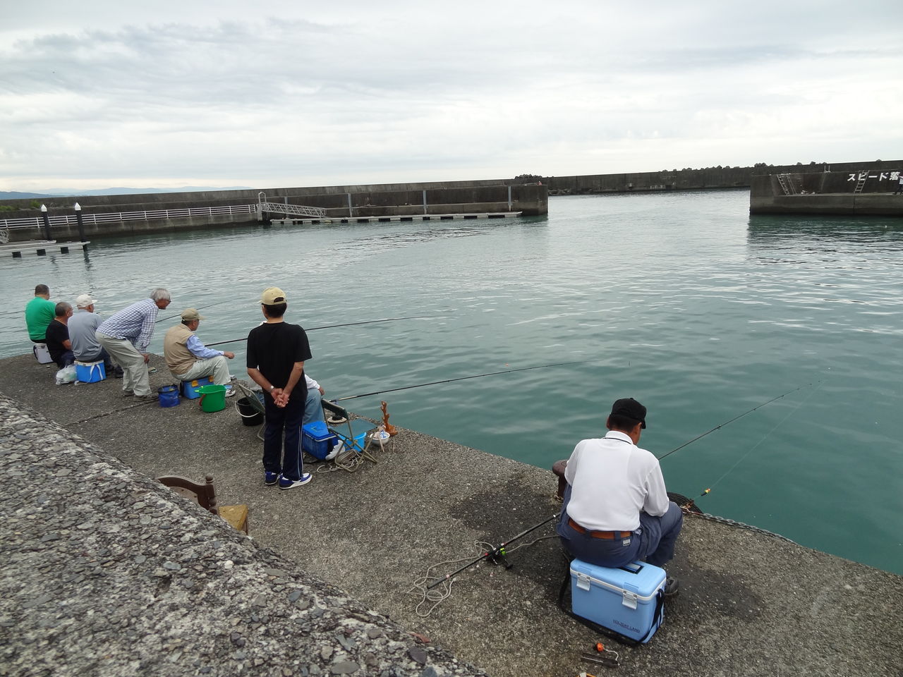 初夏の絶品アカカマス 土佐料理 旬の鰹がゆく