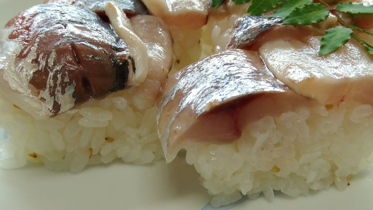 メイタガレイ 土佐料理 旬の鰹がゆく