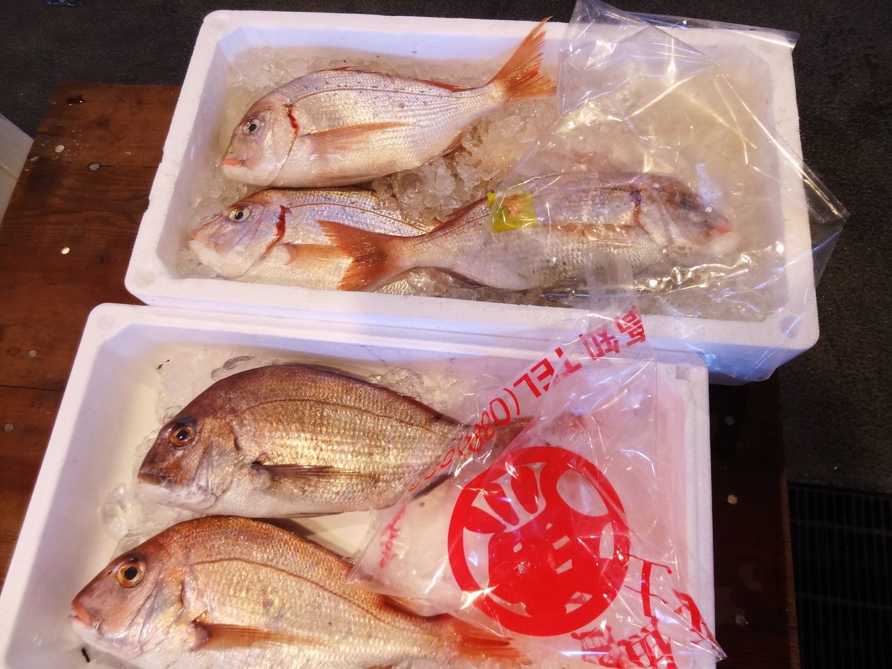 マグロの刺身盛り合わせ 土佐料理 旬の鰹がゆく マグロの刺身盛り合わせ 土佐料理 旬の鰹がゆく