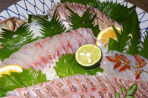 クロホシフエダイ刺身