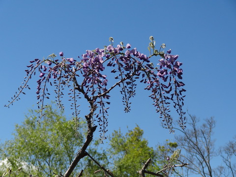 DSC07039
