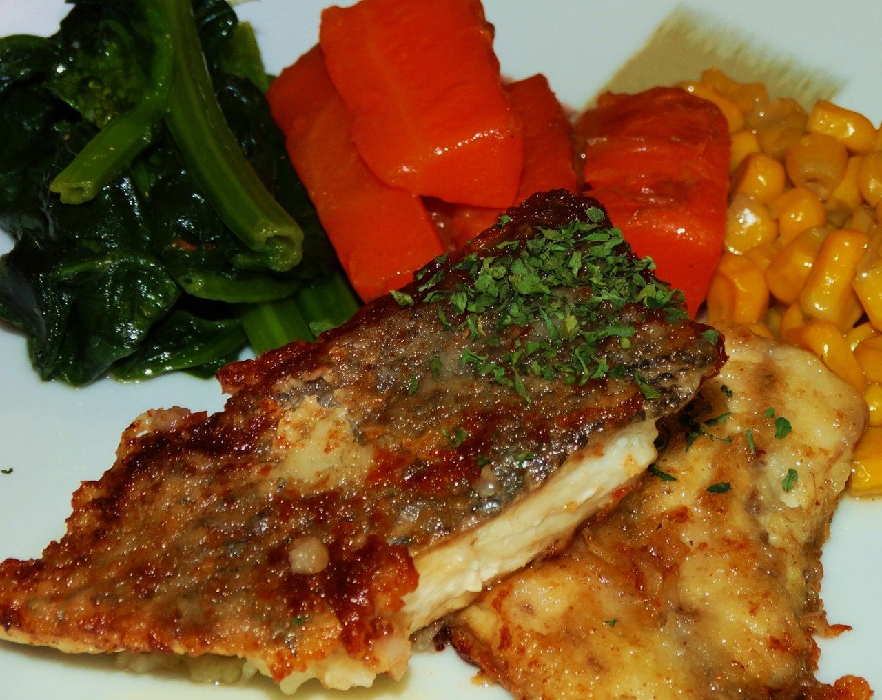 高知の珍魚 土佐料理 旬の鰹がゆく