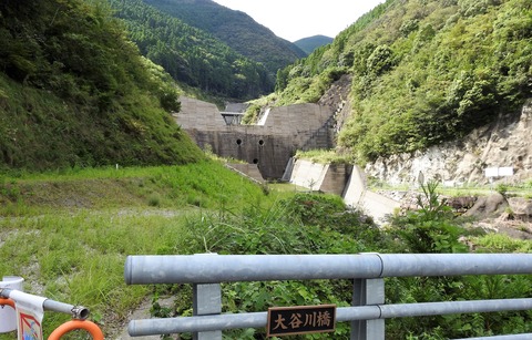 DSCN1410