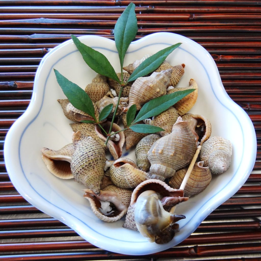 夜泣貝 : 土佐料理 旬の鰹がゆく！