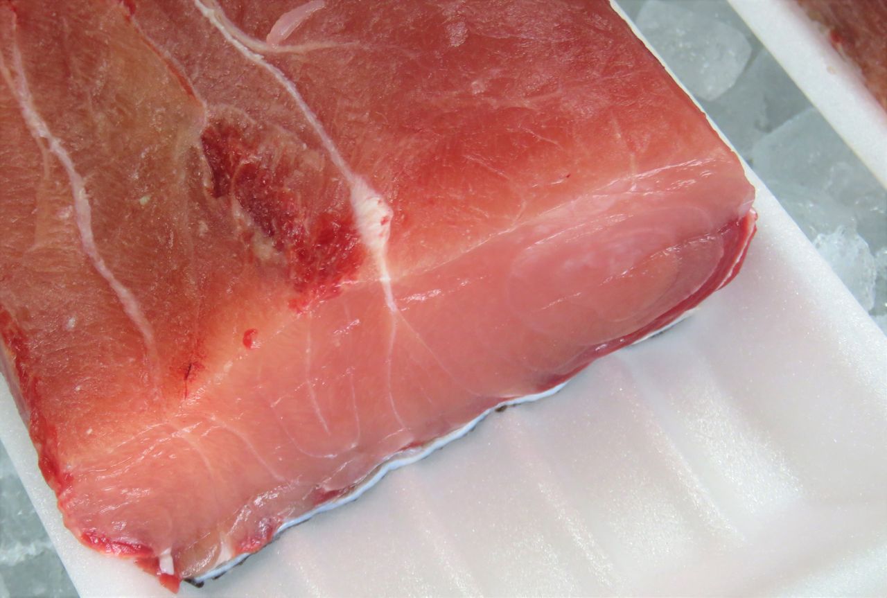 高知の食材 海産物 水産資源 土佐料理 旬の鰹がゆく 高知の食材 海産物 水産資源 土佐料理 旬の鰹がゆく