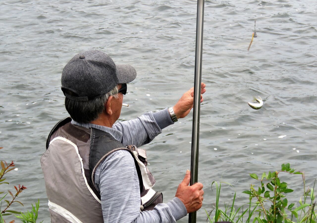 鮎解禁２０２０土佐路に夏が来た 土佐料理 旬の鰹がゆく