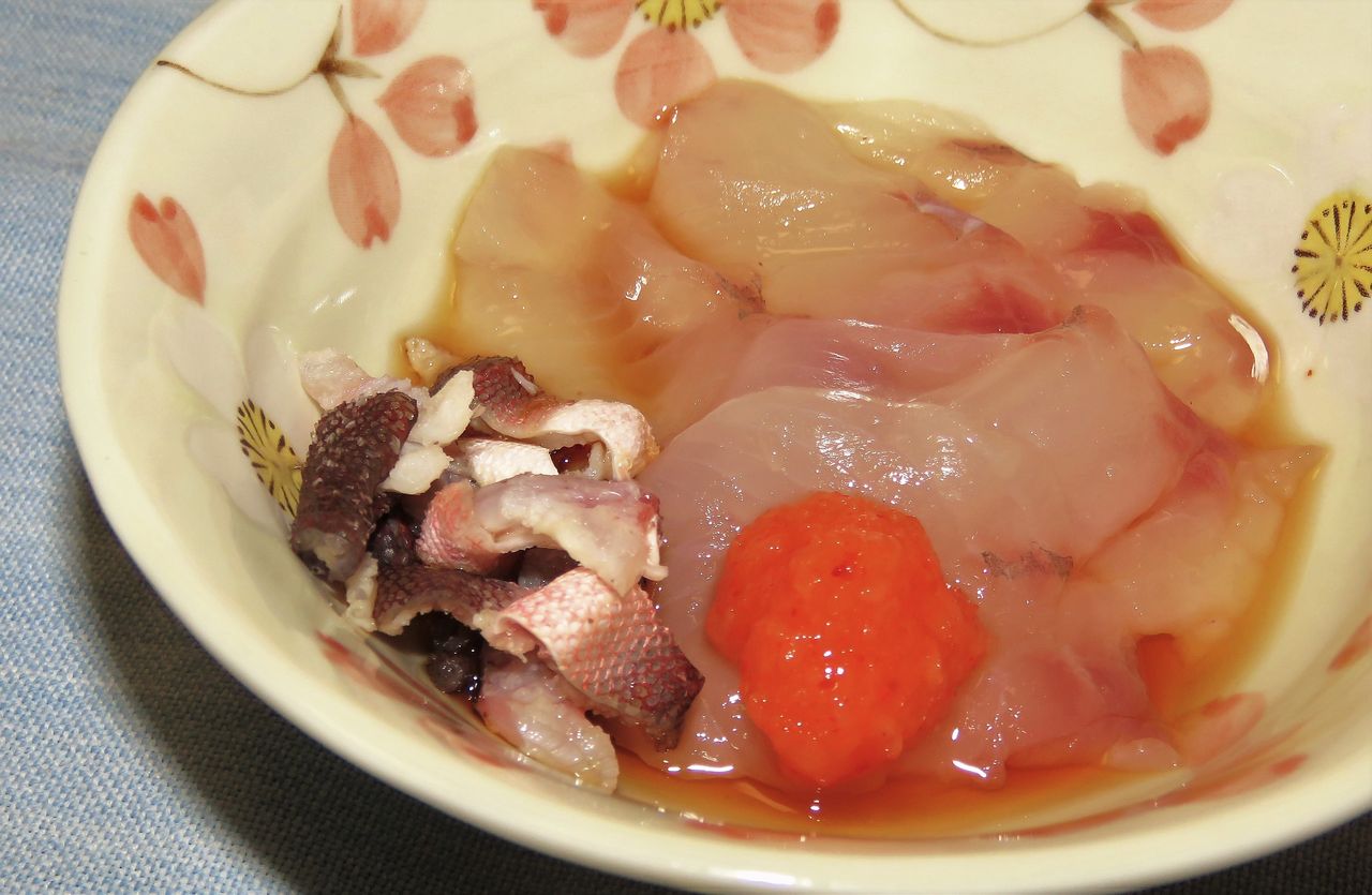 ホウボウのお造り 土佐料理 旬の鰹がゆく