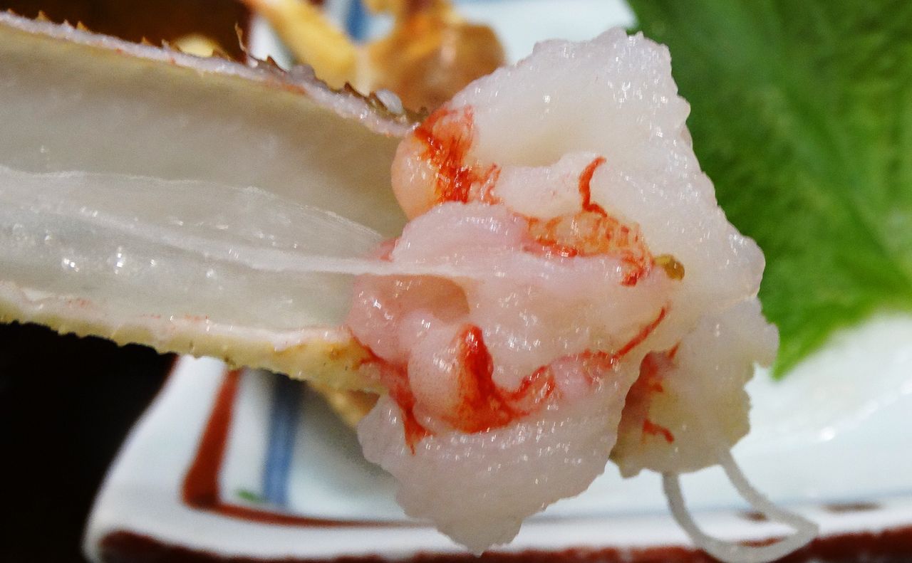 ノコギリガザミ地蟹の値打ち 土佐料理 旬の鰹がゆく
