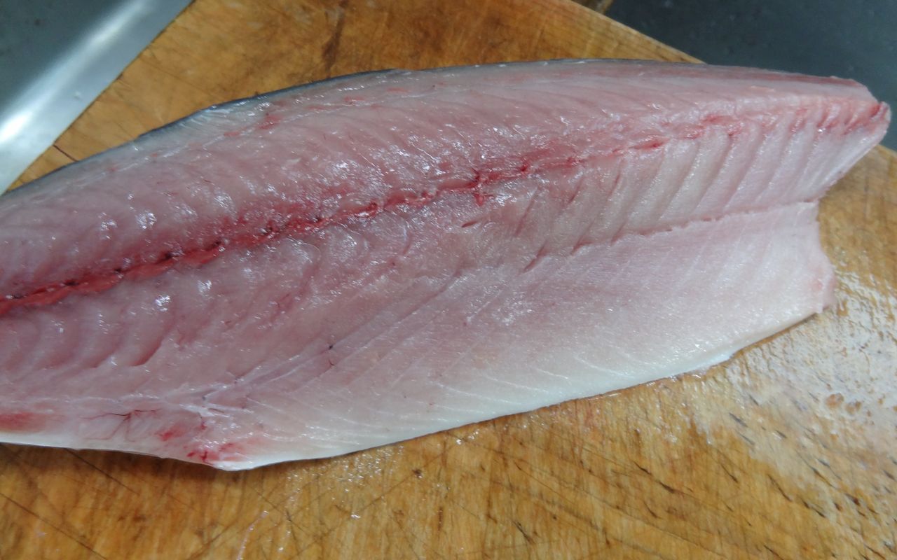 魚が食卓に上るまで 土佐料理 旬の鰹がゆく 魚が食卓に上るまで 土佐料理 旬の鰹がゆく