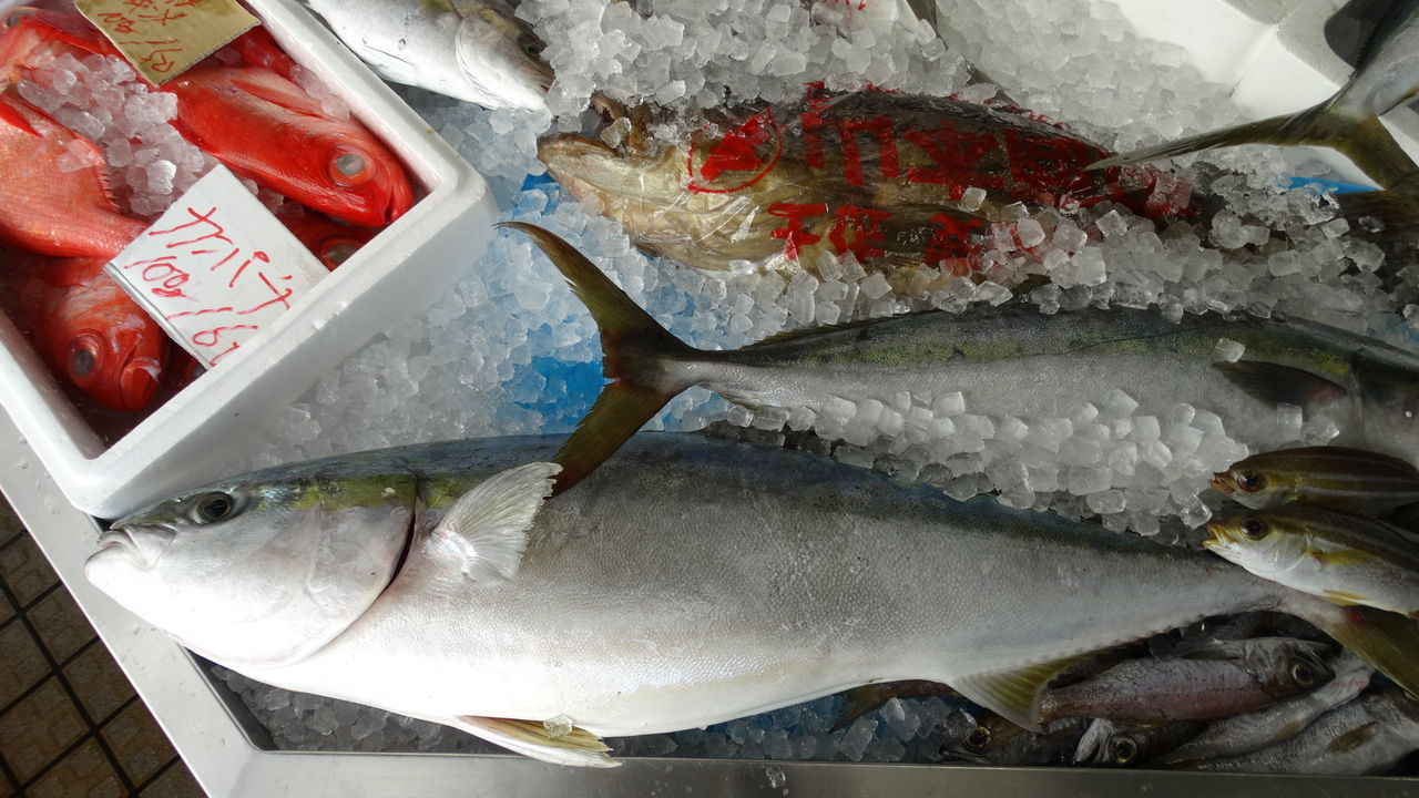 室戸の旬鮮魚 土佐料理 旬の鰹がゆく 室戸の旬鮮魚 土佐料理 旬の鰹がゆく