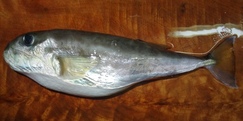 DSC09508