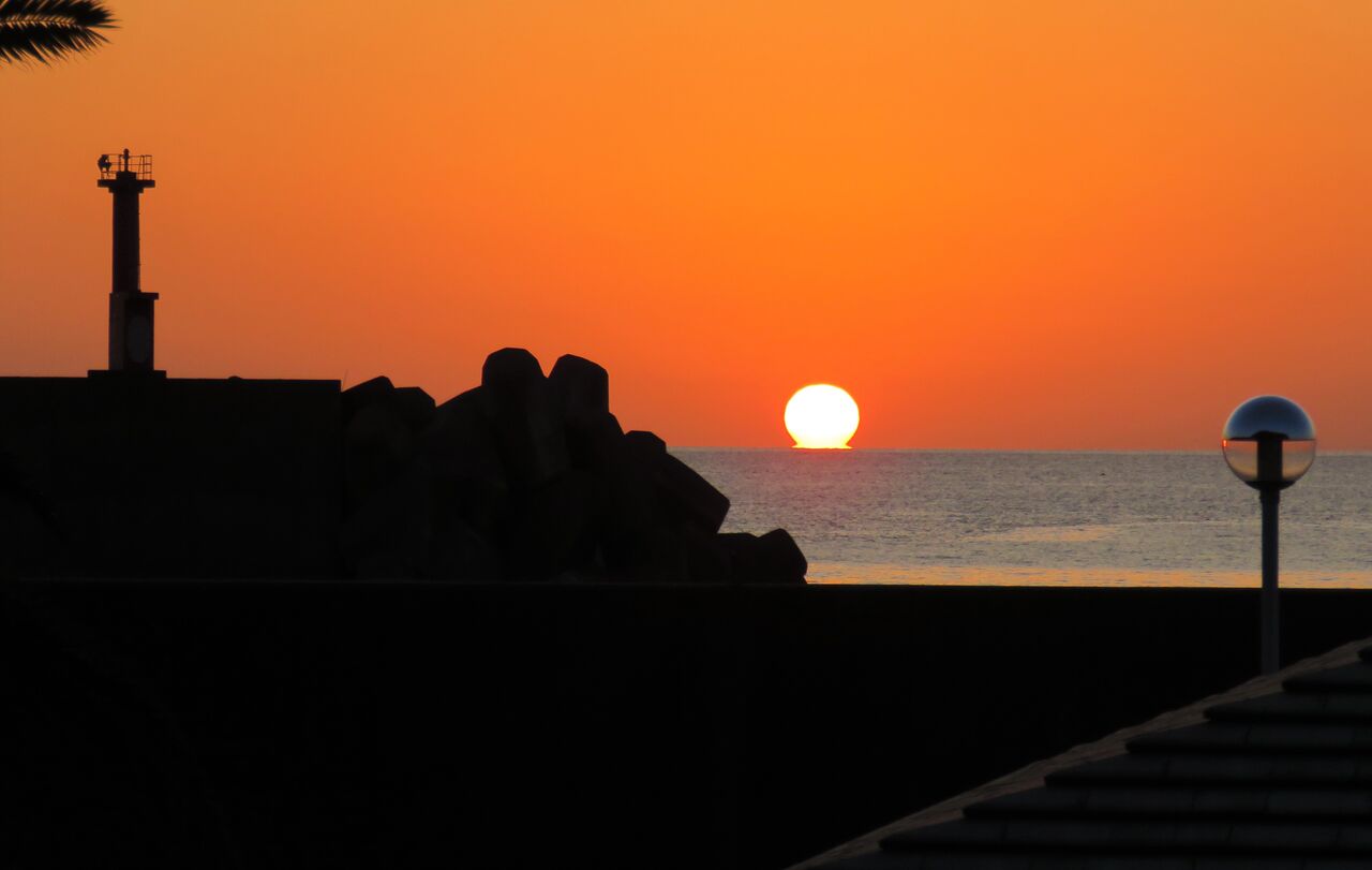 春は昼長 土佐料理 旬の鰹がゆく