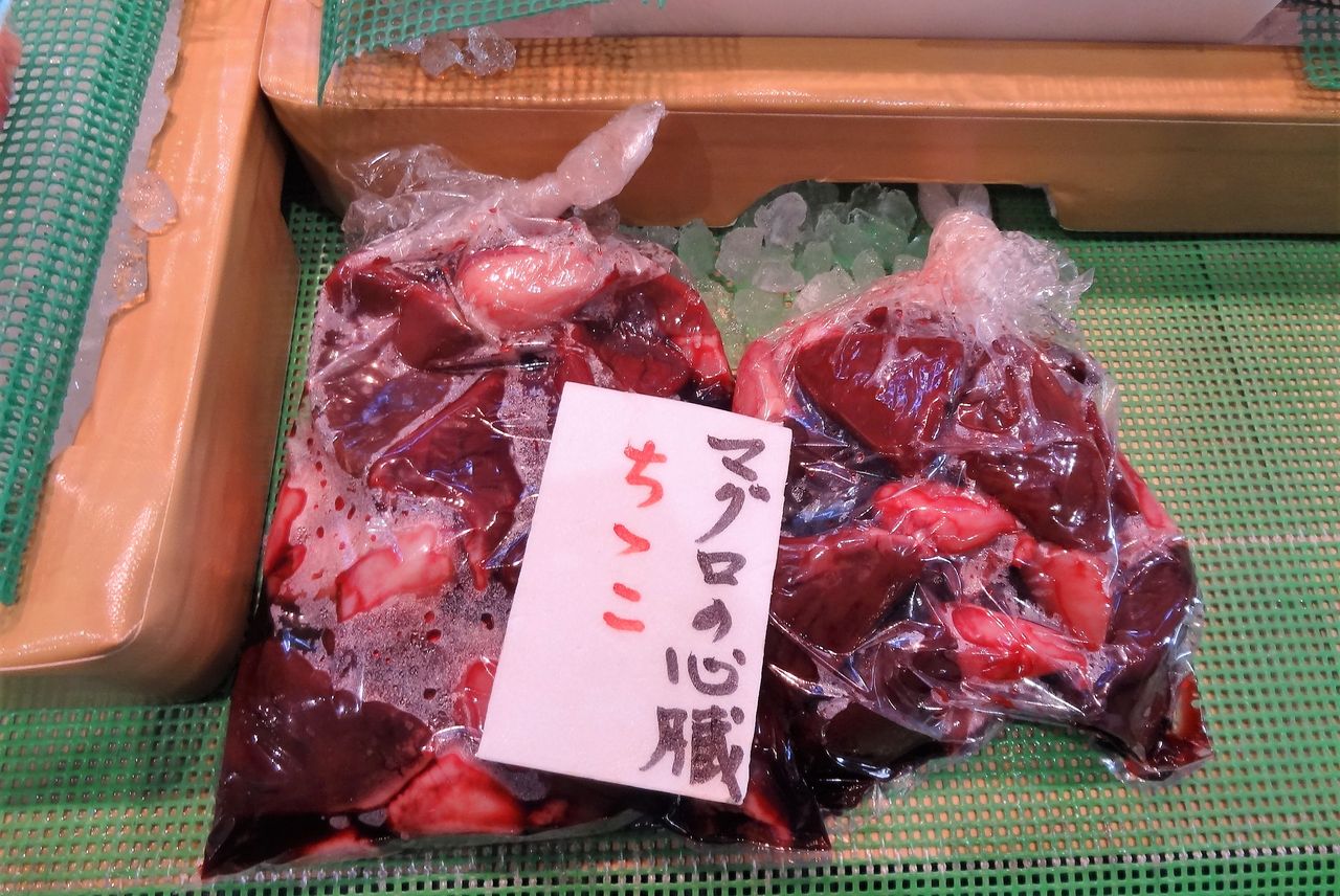 見たことのないほどに脂ののったビンナガマグロの刺身 土佐料理 旬の鰹がゆく