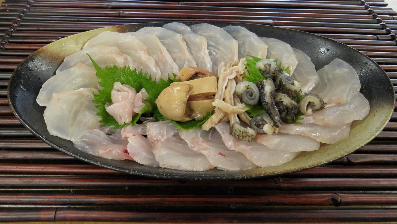 高知の食材 海産物 水産資源 土佐料理 旬の鰹がゆく 高知の食材 海産物 水産資源 土佐料理 旬の鰹がゆく