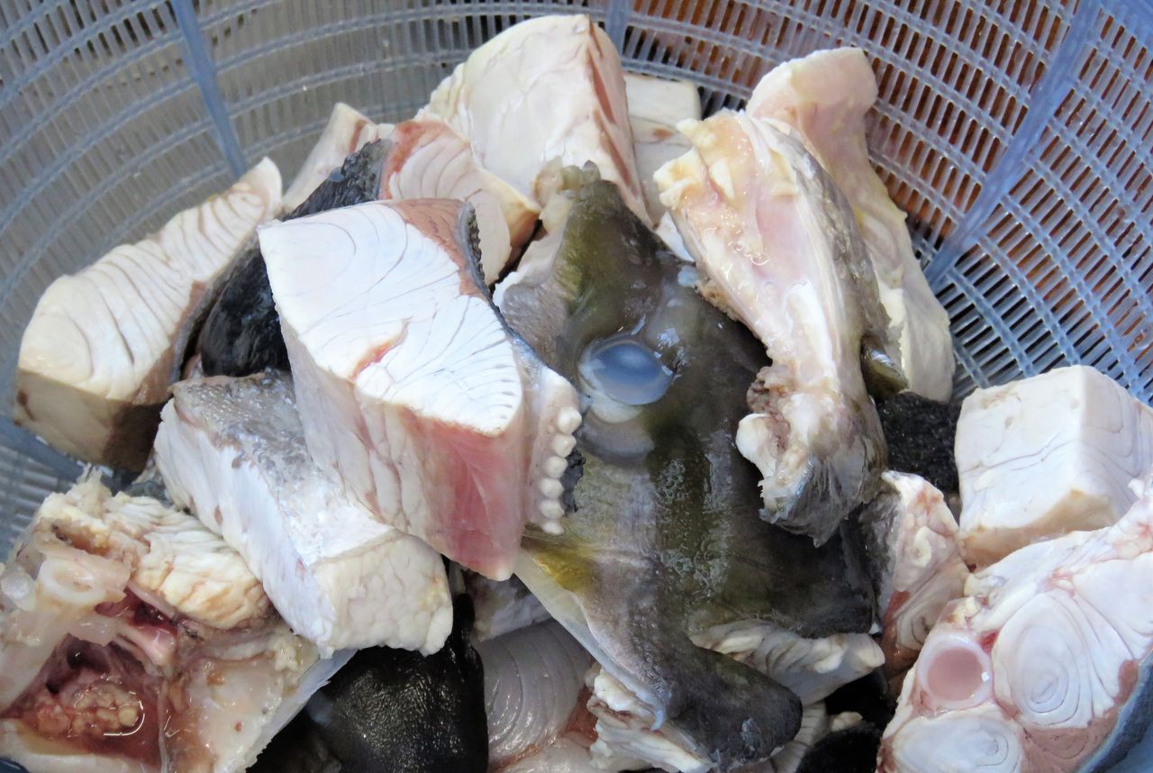 鮮魚のあら炊き 高知の家庭ではこう創る 土佐料理 旬の鰹がゆく 鮮魚のあら炊き 高知の家庭ではこう創る 土佐料理 旬の鰹がゆく