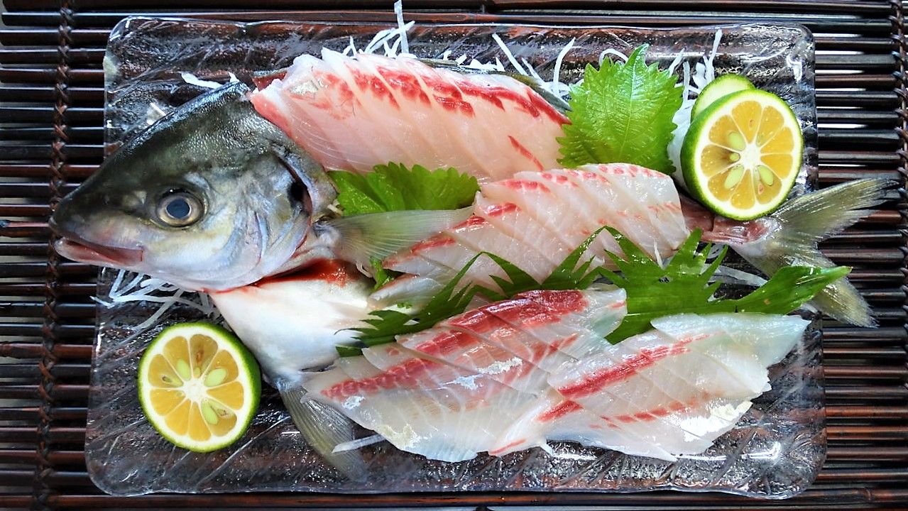 旬に入る天然魚と旬を外れた養殖魚の品質 土佐料理 旬の鰹がゆく