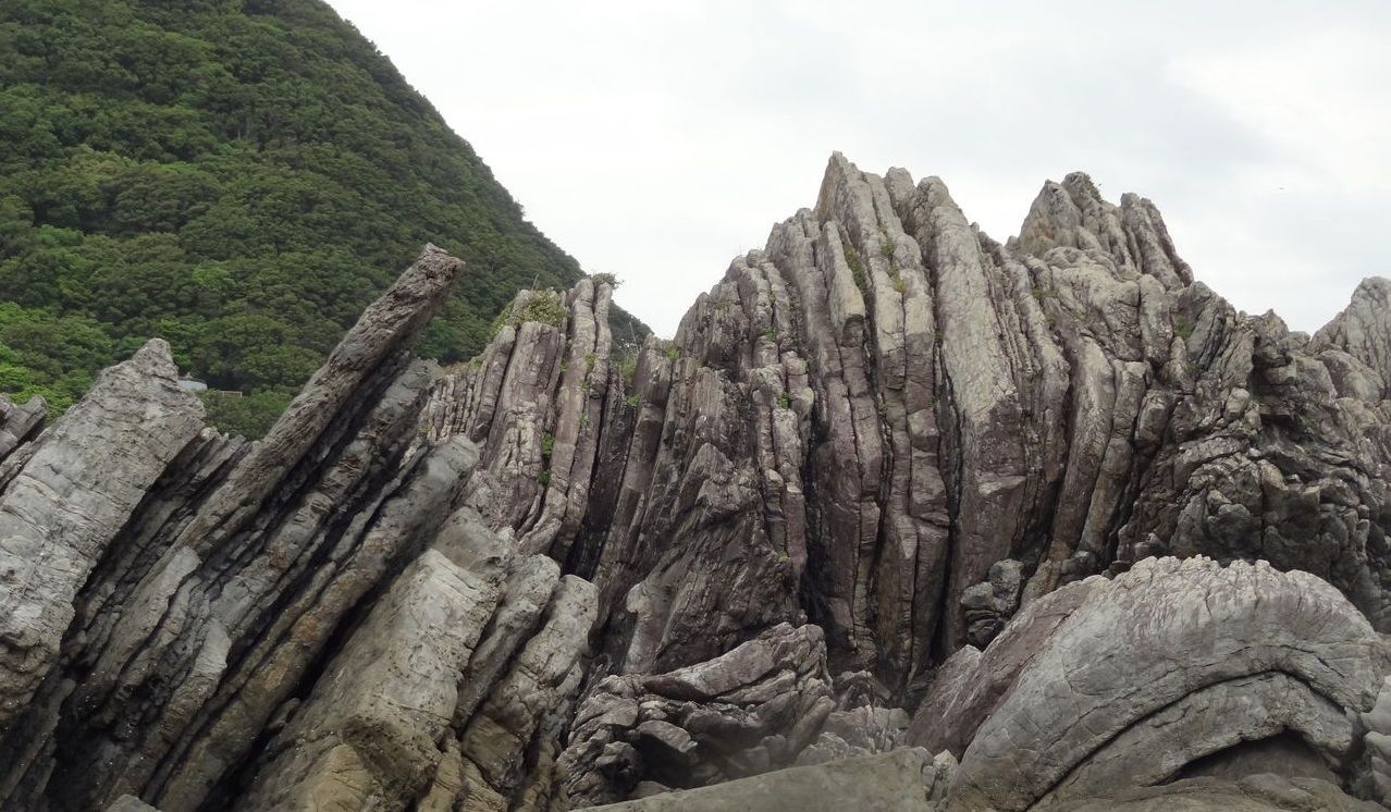 冬の海鳥たち 土佐料理 旬の鰹がゆく