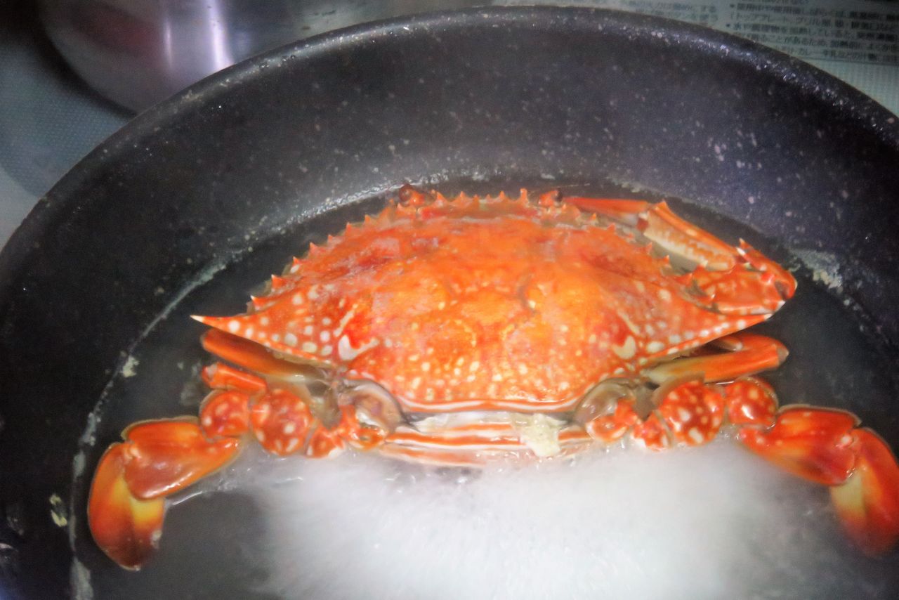 高知の食材 海産物 水産資源 土佐料理 旬の鰹がゆく
