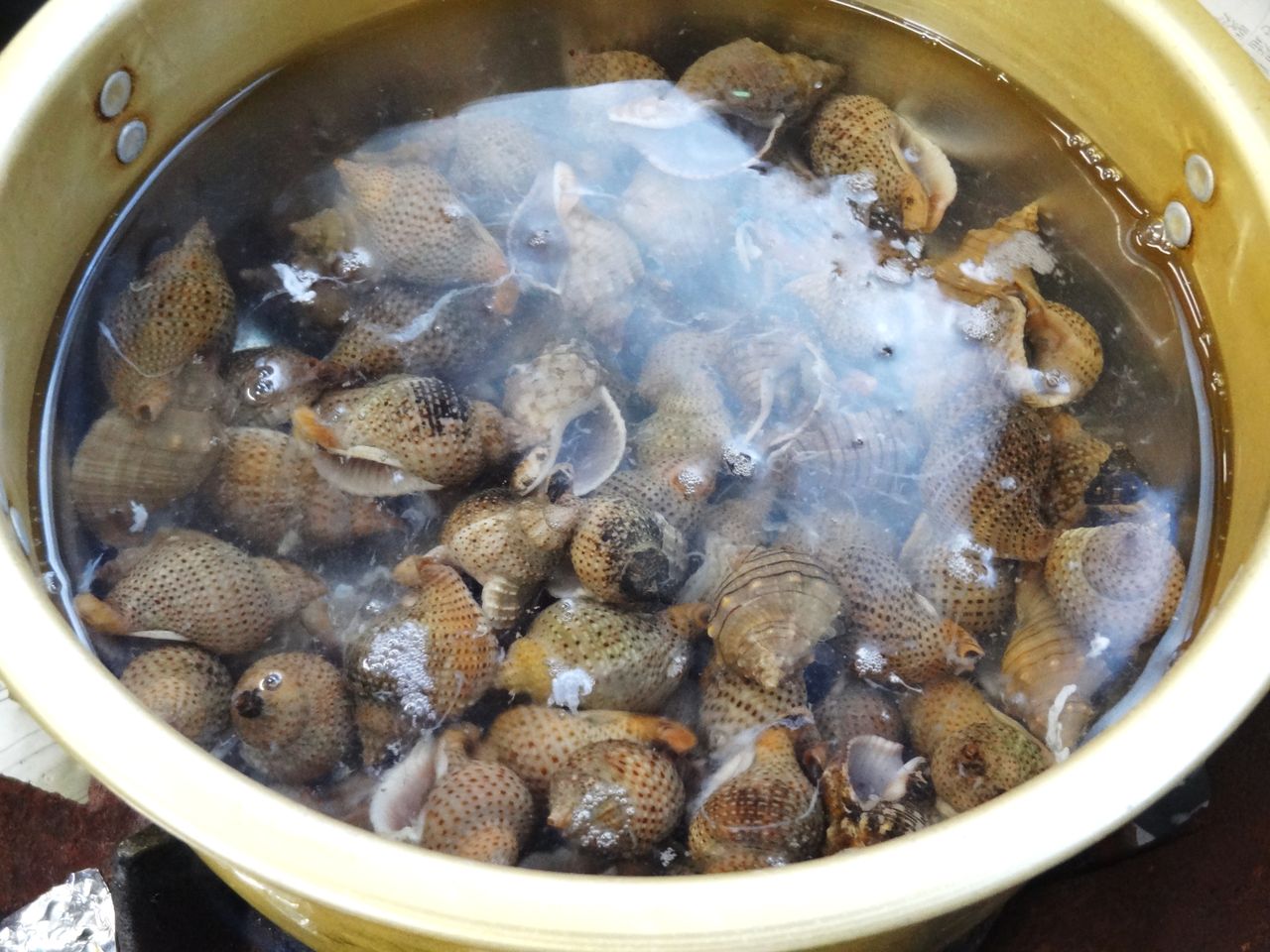 ヨダレ貝 土佐料理 旬の鰹がゆく ヨダレ貝 土佐料理 旬の鰹がゆく