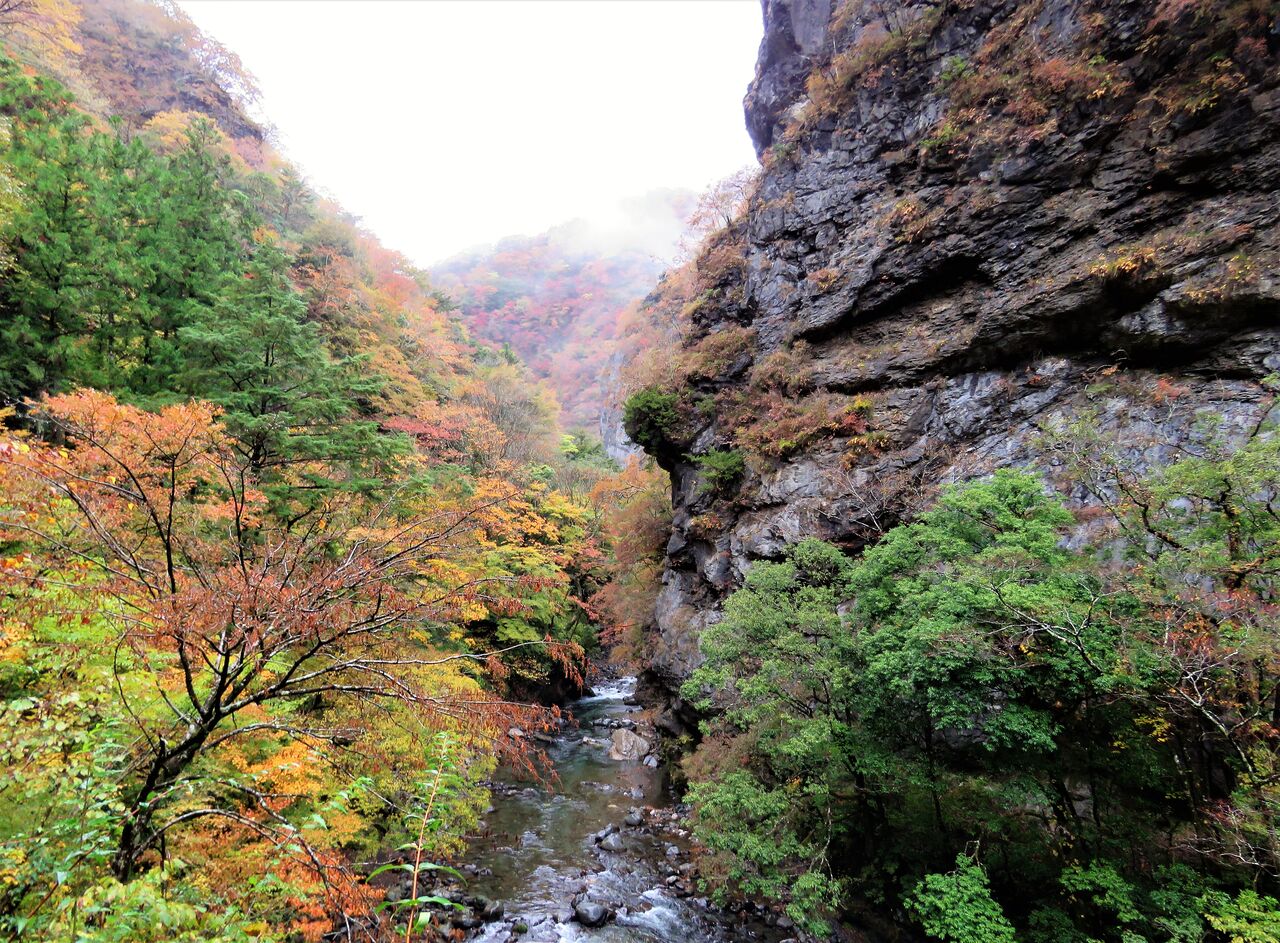 和洋の伝統的毛鉤釣り 土佐料理 旬の鰹がゆく 和洋の伝統的毛鉤釣り 土佐料理 旬の鰹がゆく