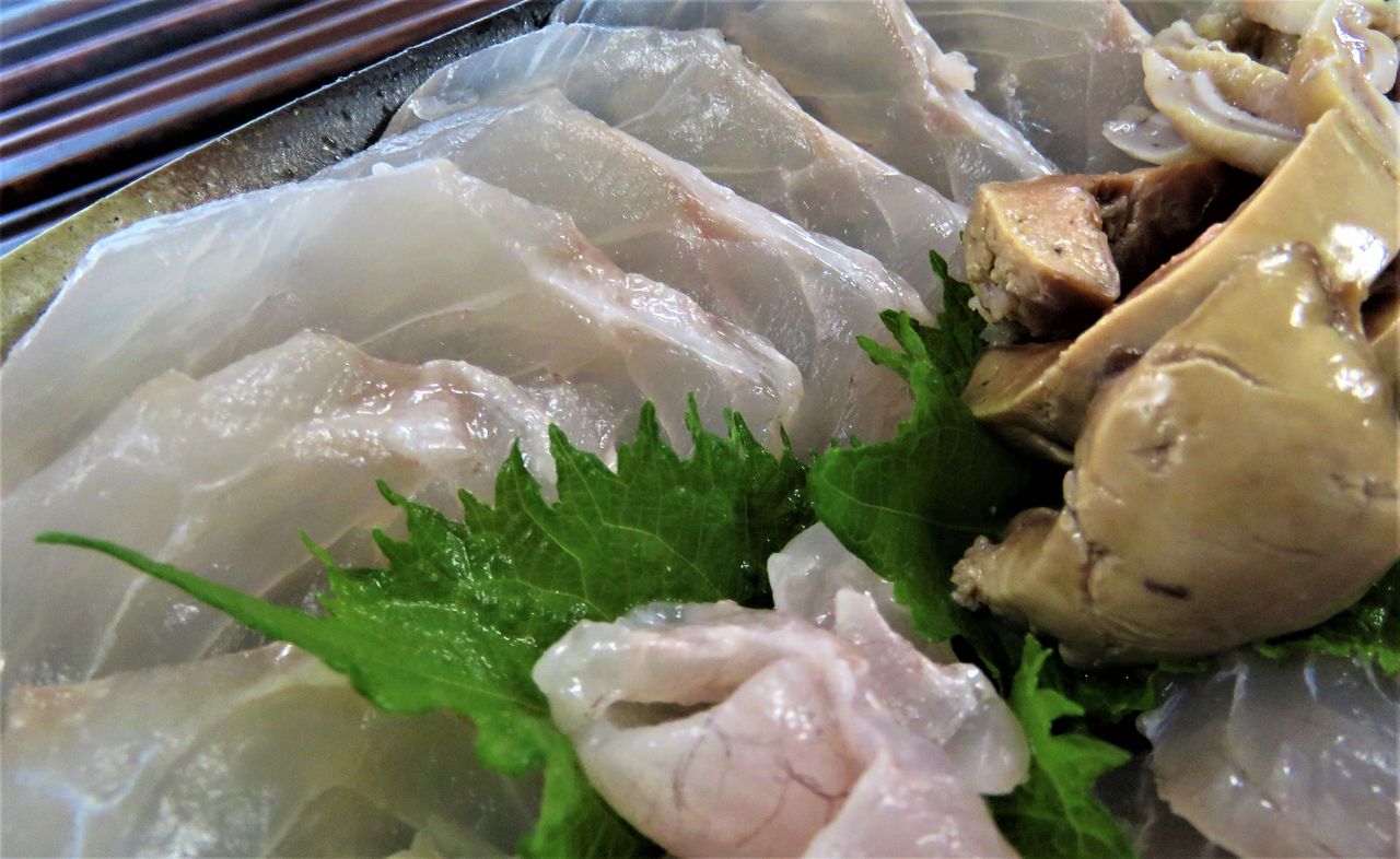 高知の食材 海産物 水産資源 土佐料理 旬の鰹がゆく 高知の食材 海産物 水産資源 土佐料理 旬の鰹がゆく
