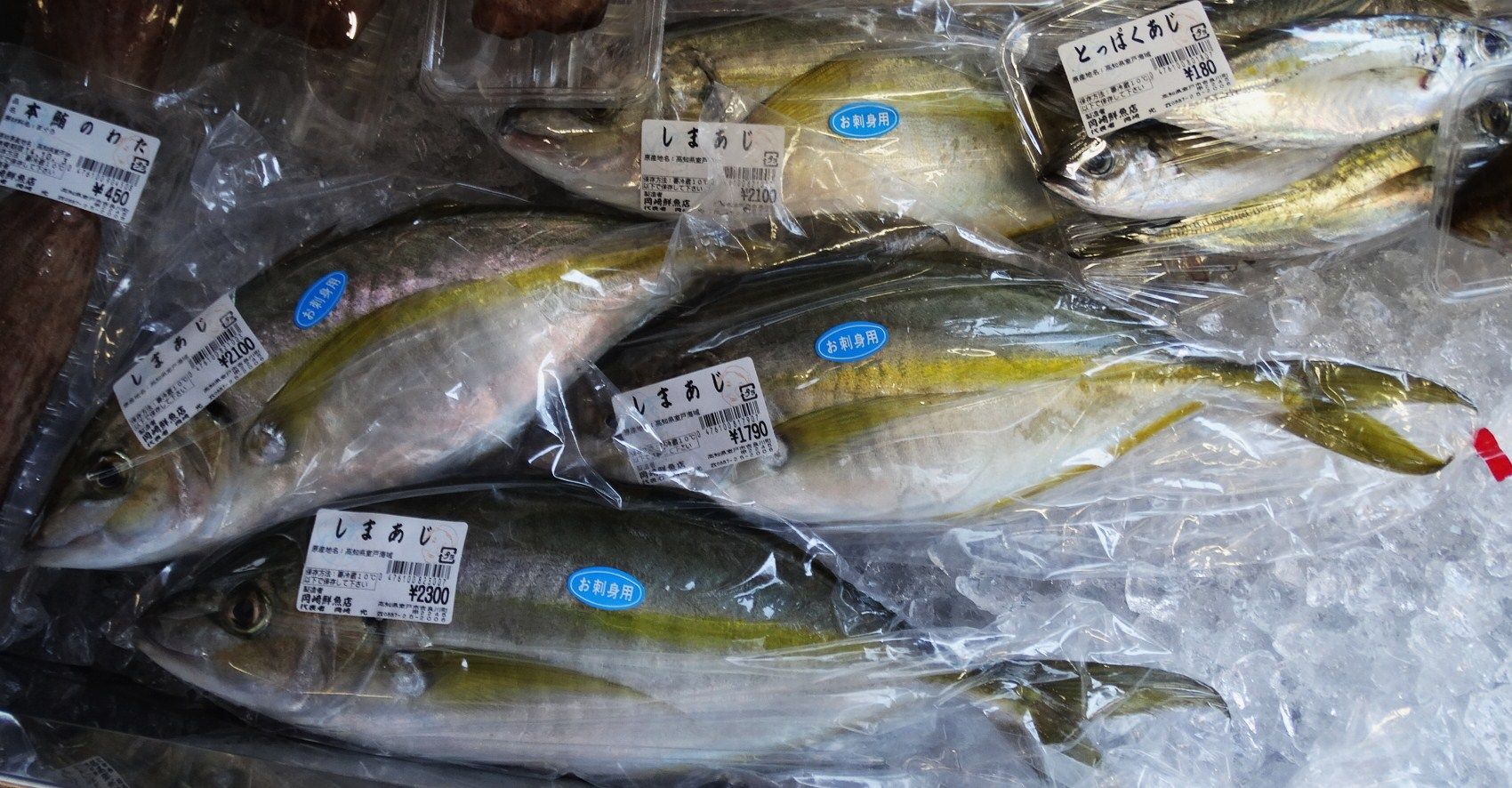 シマアジ 土佐料理 旬の鰹がゆく シマアジ 土佐料理 旬の鰹がゆく