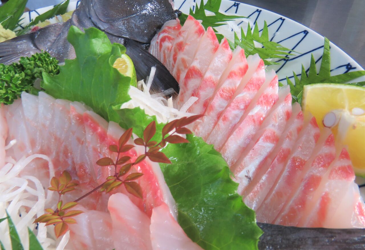 岸壁で釣った旬の磯魚をより美味しくいただく工夫 土佐料理 旬の鰹がゆく 岸壁で釣った旬の磯魚をより美味しくいただく工夫 土佐料理 旬の鰹がゆく