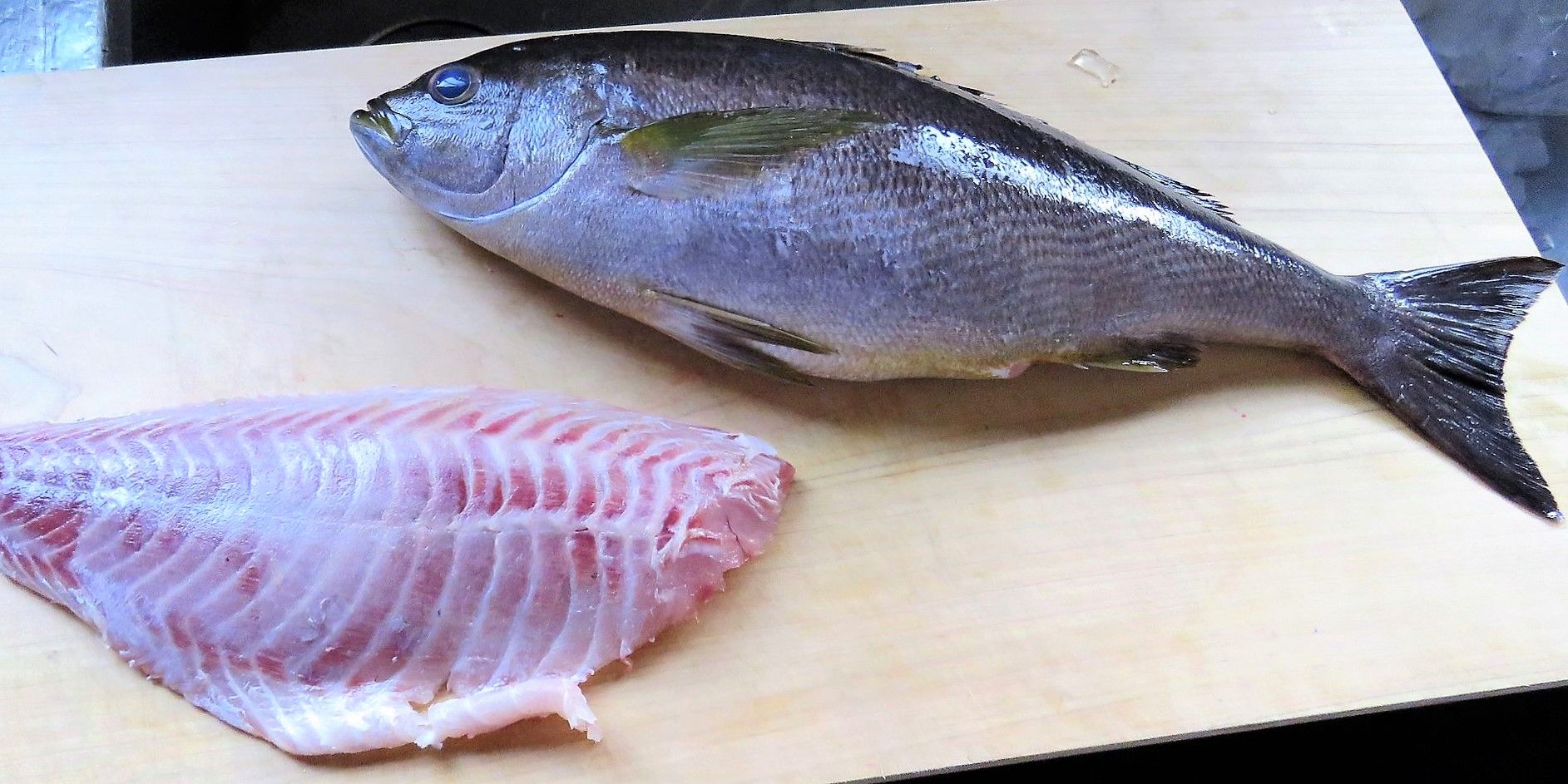 土佐料理 旬の鰹がゆく! イサキはどこまで大きくなる⁈ コメント 土佐料理 鰹
