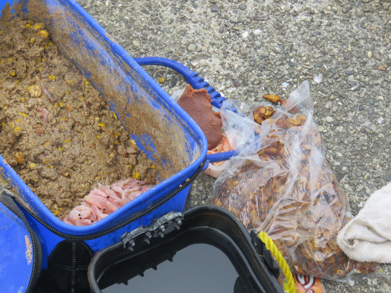 秋黒鯛 アキチヌ 爆釣モードの後に 土佐料理 旬の鰹がゆく 秋黒鯛 アキチヌ 爆釣モードの後に 土佐料理 旬の鰹がゆく