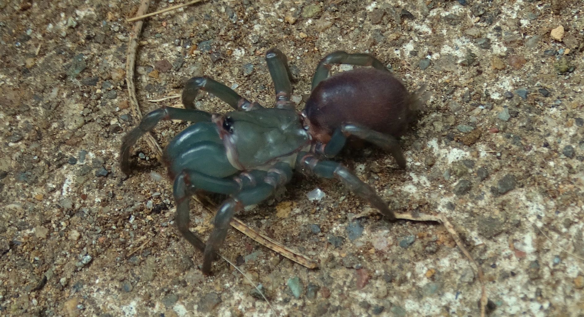 ジグモ 土佐料理 旬の鰹がゆく ジグモ 土佐料理 旬の鰹がゆく