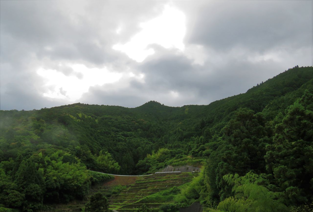 四国 梅雨入り いつ 梅雨入り いつ 四国