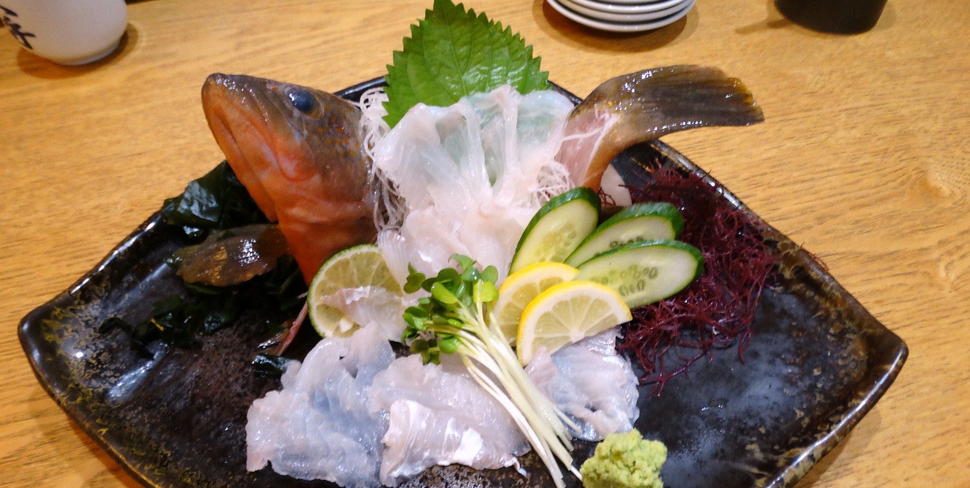 高知でアコウを釣った 土佐料理 旬の鰹がゆく 高知でアコウを釣った 土佐料理 旬の鰹がゆく