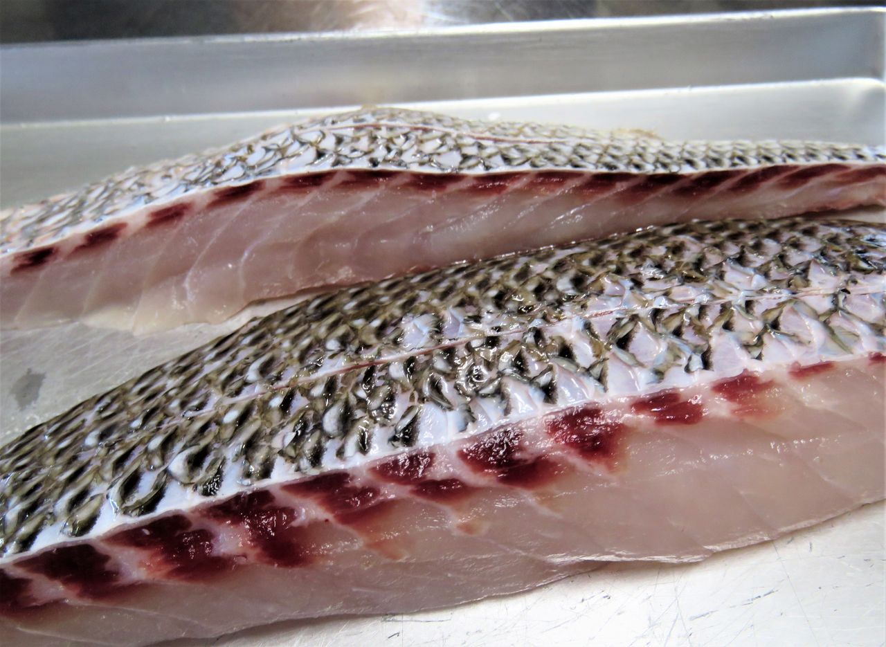 浜笛吹 ハマフエフキ 土佐料理 旬の鰹がゆく 浜笛吹 ハマフエフキ 土佐料理 旬の鰹がゆく
