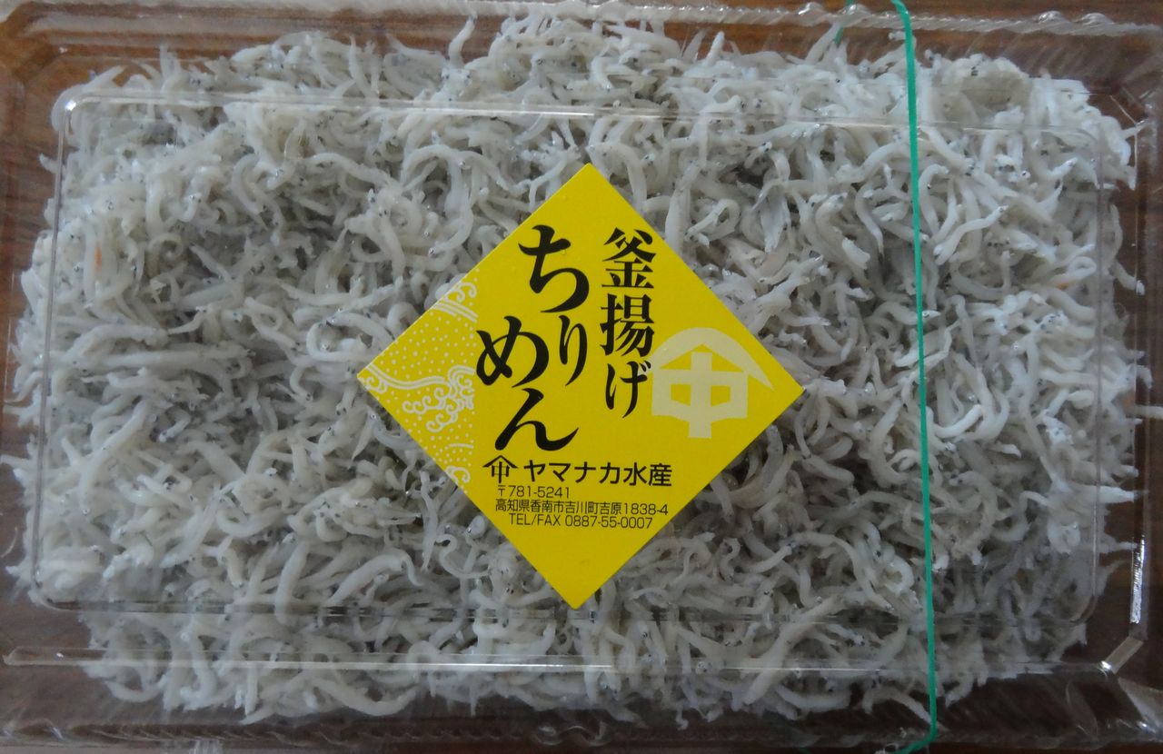 のれそれ 土佐料理 旬の鰹がゆく のれそれ 土佐料理 旬の鰹がゆく
