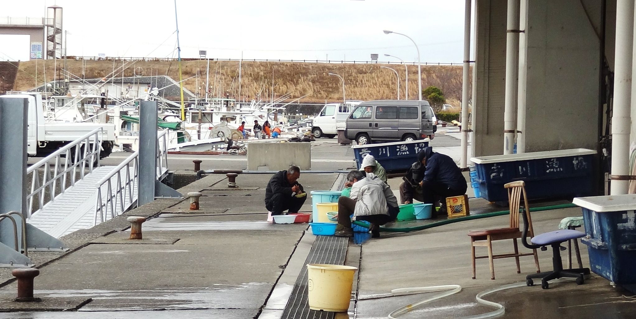 のれそれ 土佐料理 旬の鰹がゆく