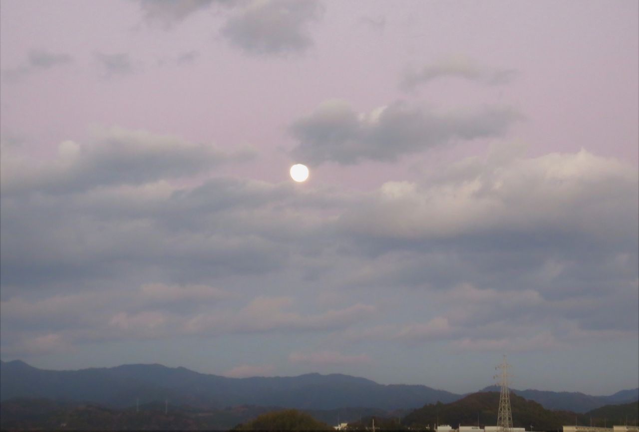 一年最初の月 土佐料理 旬の鰹がゆく