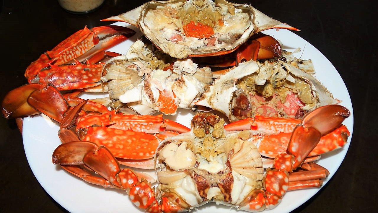 アカテノコギリガザミ 土佐料理 旬の鰹がゆく アカテノコギリガザミ 土佐料理 旬の鰹がゆく