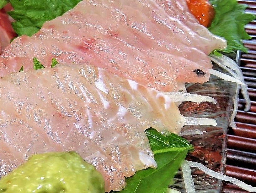 高知の珍魚 土佐料理 旬の鰹がゆく
