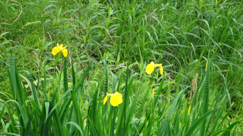DSC02213