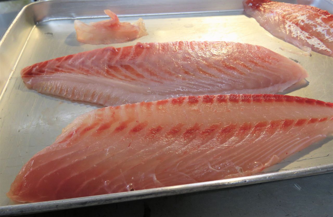 魚種当てクイズpart 土佐料理 旬の鰹がゆく 魚種当てクイズpart 土佐料理 旬の鰹がゆく